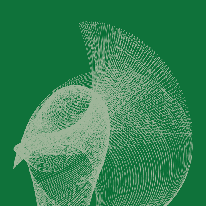 Rethinking Obesity Report algo artwork