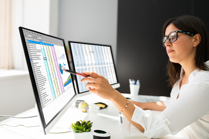 Analyst Working With Spreadsheet