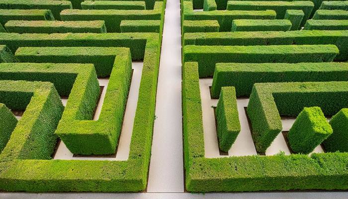 Custom Photo Simplified green hedge maze shot from an above perspective