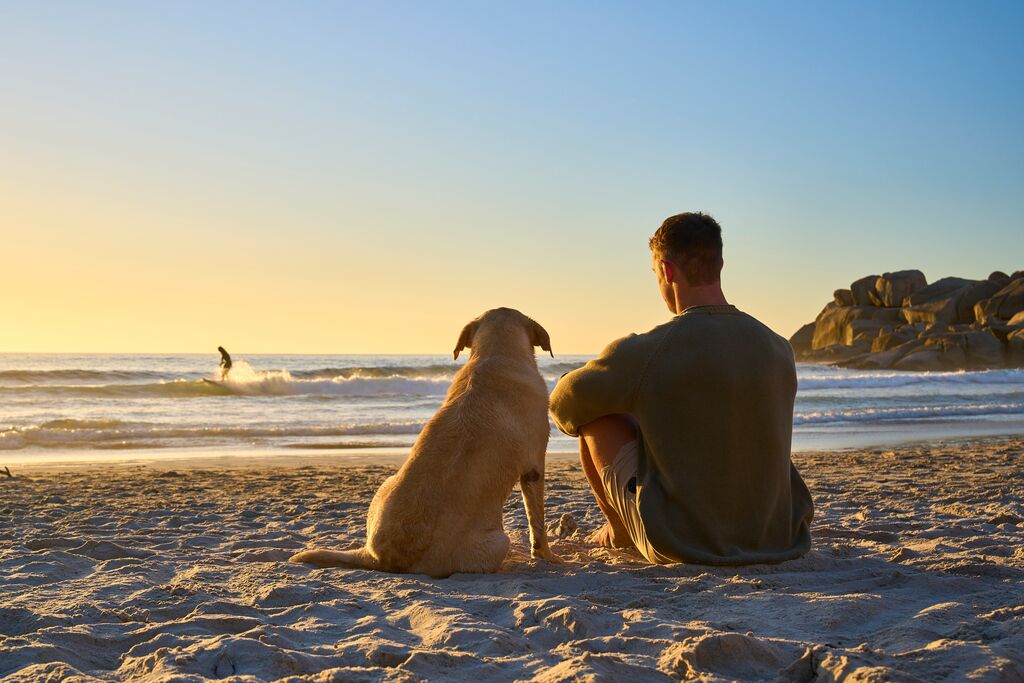 Custom Photo Individual contemplative on beach with dog